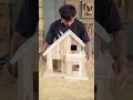 Beautiful Bird House with Feeding and Birds ate very happy #woodworking #shorts #trending