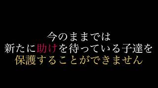 🆘シェルター満杯🆘家族を待っている子達がたくさんいます。