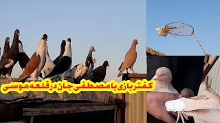 کدام جنس کفتر بهتر است برای پرش و نسل گیری? || واژه Wazha