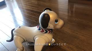 【期間限定のふるまい】ネコになったaibo「ニャイボ」