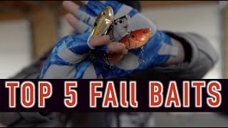 TOP 5 Fall Baits for Big Bass SUCCESS | Catch More Fish