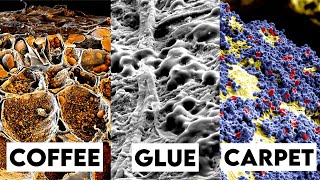 Home Objects Under Electron Microscope!