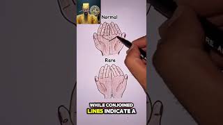 Normal Or Rare Your Palm Lines Reveal Everything