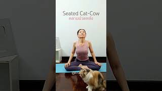 Spinal Release | Seated Cat-Cow