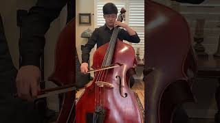 PSYO Double Bass 2024 Audition (Accepted 🥳)