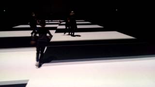 Ryoji Ikeda's Test Pattern