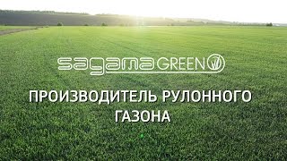 Рулонный газон Самара. Производитель рулонного газона в Самаре - Sagama Green