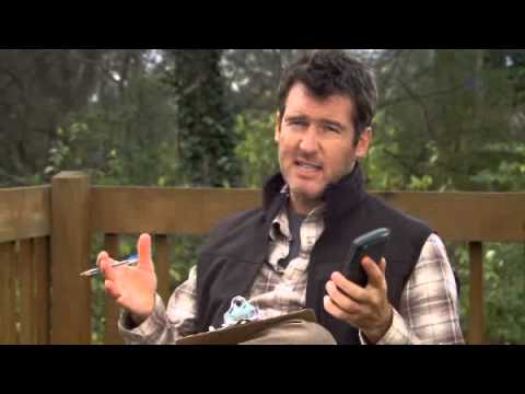 How much should new decking cost? How much should new decking cost?