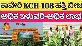 #ಕಾವೇರಿ KCH108 #ಹತ್ತಿಬೀಜ ಅಧಿಕ ಇಳುವರಿ ಕೊಡುವ ಹತ್ತಿ ಬೀಜ #kaveri KCH108 high #yielding #cotton#seed #adi