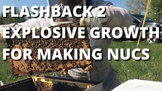 Flashback 2 Explosive growth for making nucs