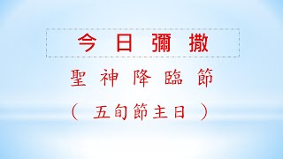 2022/06/05(日) 聖神降臨節(五旬節主日)彌撒網路直播