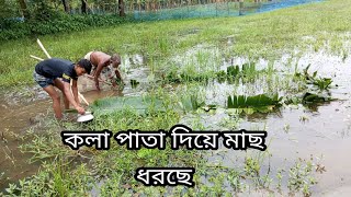 কলাপাতা দিয়ে মাছ ধরা Fishing video 2022 New video, 🇧🇩