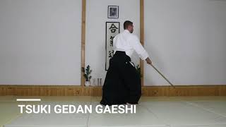 [Aikido] JO NO KIHON | TSUKI NO BU