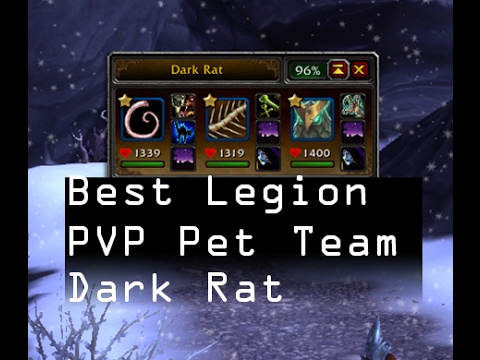 Best PVP Pet Battle Team Legion. 7.2 Dark Rat. - YouTube