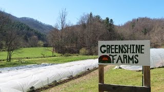 1/2 acre Market Garden | Greenshine Farms