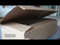 unboxing british shorthair cat