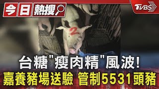 台糖「瘦肉精」風波! 嘉義養豬場送驗 管制5531頭豬｜TVBS新聞 @TVBSNEWS01