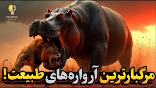 قدرت باورنکردنی آرواره‌های حیوانات؛ از اسب آبی تا هیولایی به نام اورکا