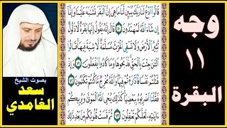 صفحة 11 سورة البقرة - بصوت سعد الغامدي - قالوا ادع لنا ربك يبين لنا ما هي إن البقر تشابه علينا وإنا