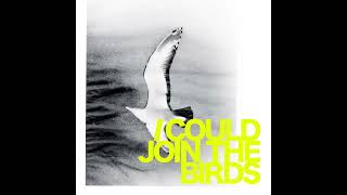 Real Lies - I Could Join The Birds (Official Audio)