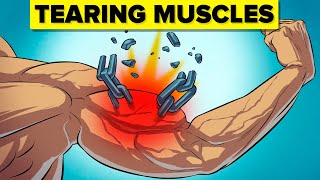 What Really Happens to Your Muscles During a Workout