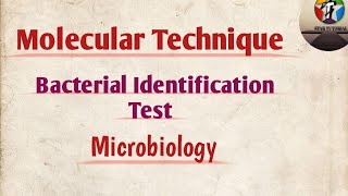 Molecular Technique ll Bacterial Identification Test ll Microbiology