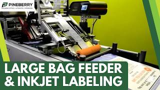 Large Bag Feeder & Vacuum Conveyor for Labeling & Inkjet - Pineberry