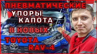 Пневма упоры капота в новых TOYOTA RAV4 50