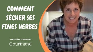 COMMENT FAIRE SÉCHER SES FINES HERBES