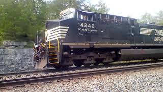 NS 4240 leads 173 with NS 7122 and horn show