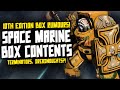 SPACE MARINES 10TH EDITION LAUNCH BOX RUMOURS!