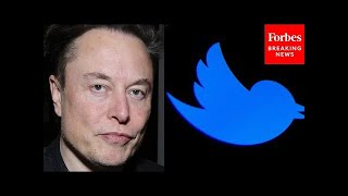 Twitter Engineer Fired Publicly By Elon Musk Speaks Out