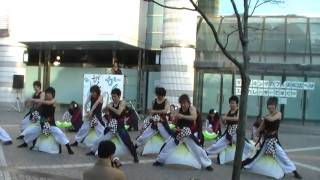 がんこ祭2010　お茶ノ子祭々7