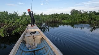 AMAZING Kid Catches MONSTER Bass and Snakehead Fish! បបក់ត្រីឌៀប នៅបឹងជីធាង