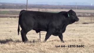 Lot 64-- LSTO 560C