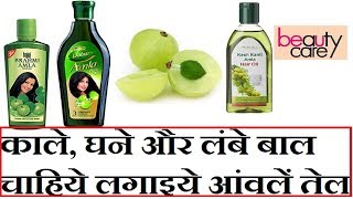 Top 10 Best Amla Hair Oil Brands for Hair Growth