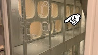 [Capsule Hotel] Solo Travel in Tokyo for 3.200 Yen 😪🛏 Nine Hours Otemachi