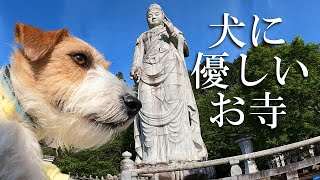 [Tsubosaka Temple] A temple you want to visit once with your dog