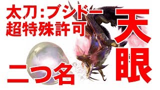 【MHXX二つ名編14】超特殊天眼タマミツネを太刀ブシドーで討伐【モンハンダブルクロス】