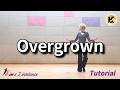 OverGrown Linedance (Tutorial) 중급 [Choreo: Fred Whitehouse]