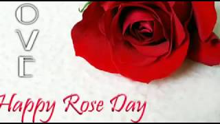 Happy Rose Day Whatsapp Status 2020 || Rose day Whatsapp status 2020
