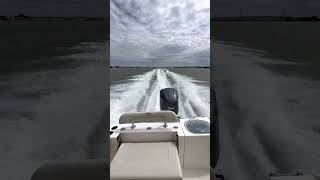 Cobia 240CC Sea Trial2