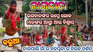 NAGBACHA- DIRGHA DASHANDHI DHARI CHALI ASU THIBA LOKA MANAKRA ASHTHA \u0026 BISWAS (CHARPALI BADPUJA) !!