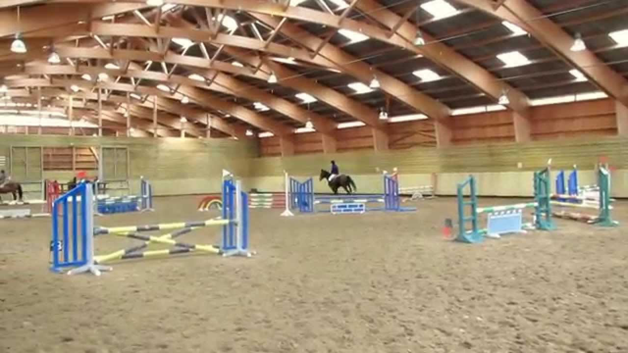 Concours Saut D'obstacle Club2 - YouTube