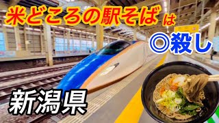 新潟駅そばめぐり なぜか米処は一味違う 心に残る駅そば 越後湯沢→新潟 湯沢庵 雪割りそば 長岡やなぎ庵 新潟やなぎ庵 冷やしたぬきで天かすを堪能 きりりと引き締る乱切り麺