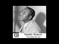 muddy waters