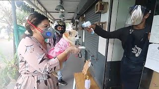 They Checked Candy's TEMPERATURE also | Ss vlogs :-)