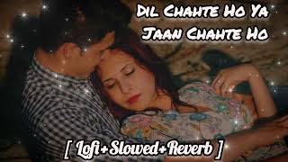 Dil chahte 💔 ho ya jaan ❌ chahte ho lyrics | slowed+Reverb | Jubin Nautiyal | Dil Chahte Ho