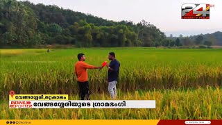 കണ്‍കുളിര്‍ക്കെ കാണാം നെല്‍പ്പാടവും കുളങ്ങളും, വേങ്ങശ്ശേരിയിലെ മനോഹര കാഴ്ചകൾ | Ottappalam