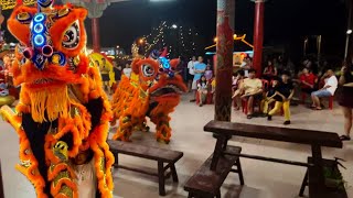 2024 农历新年文冬六壬宫传统南狮表演 Lok Yam Kong Traditional Lion Dance Performance 雄狮登山取灵芝